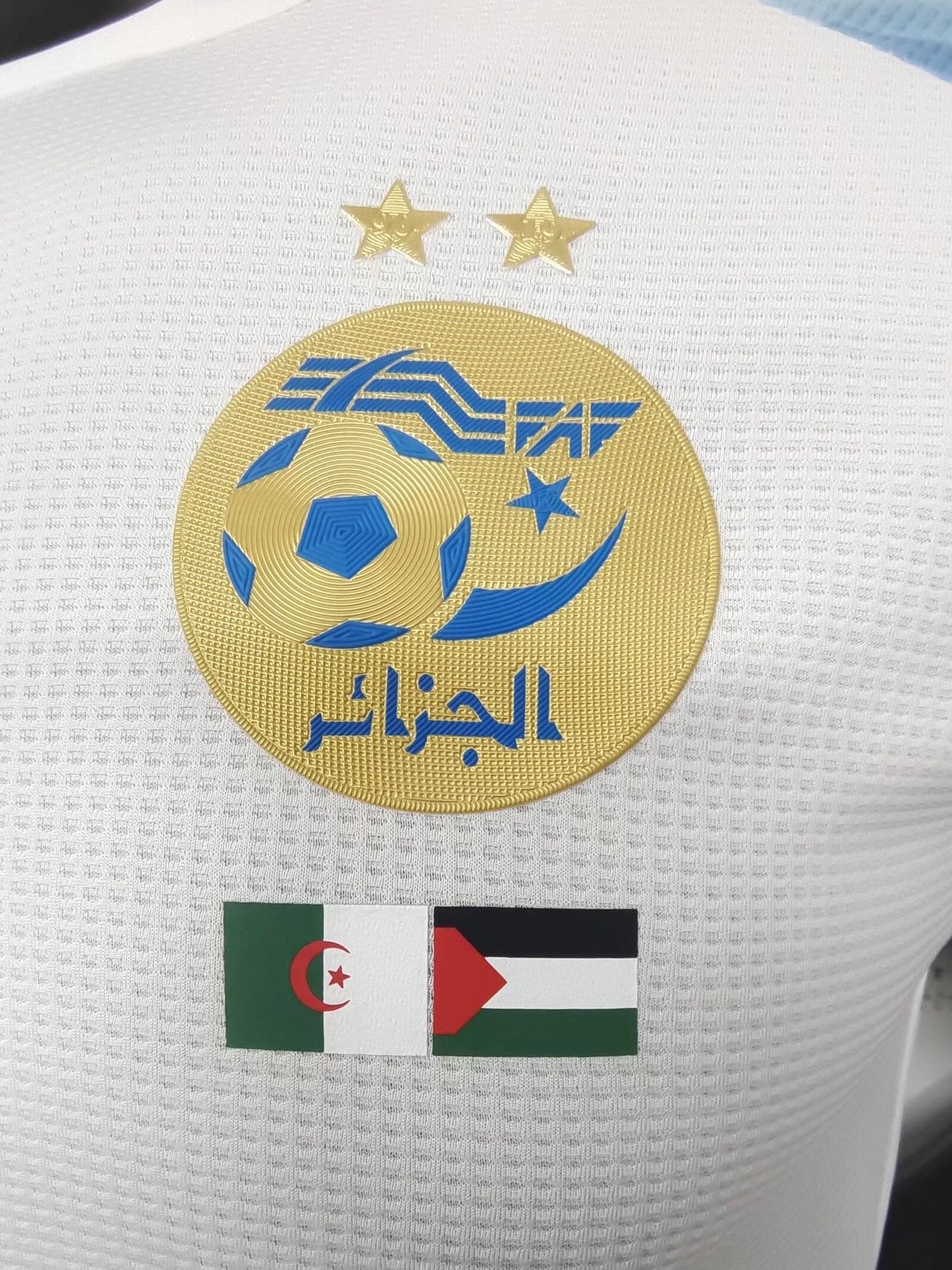 Algerie x Palestine 2024